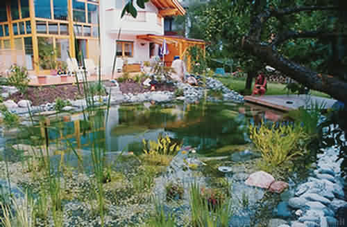 Raschpichler - Gartenprofi.net: Gartenteiche Raschpichler - Gartenprofi.net: Gartenteiche